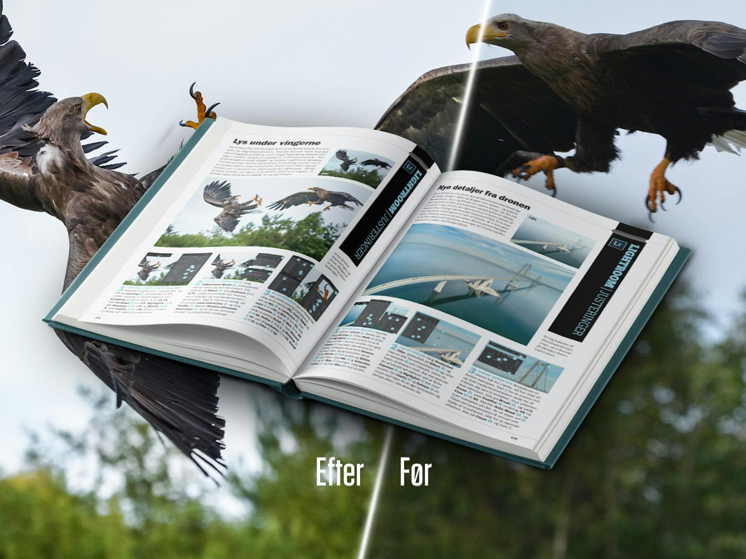 Kurssikirja Adobe Photoshop Lightroom Elements